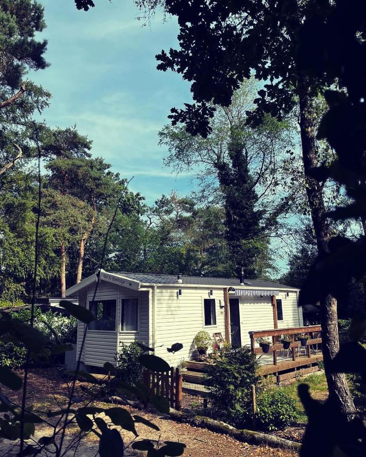 Knus Chalet Midden In De Bossen Nunspeet Eksteriør bilde