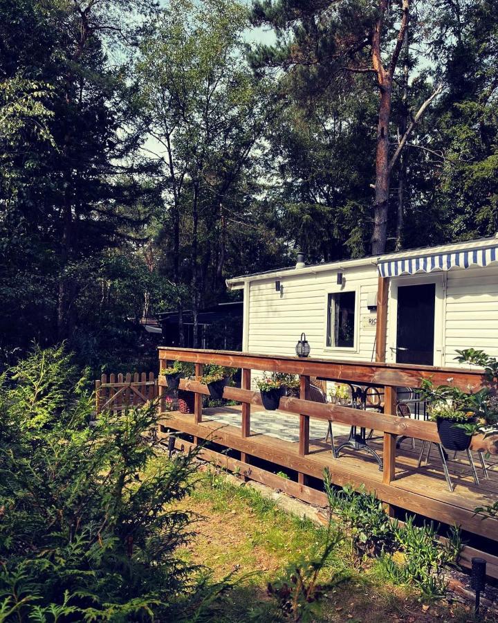 Knus Chalet Midden In De Bossen Nunspeet Eksteriør bilde